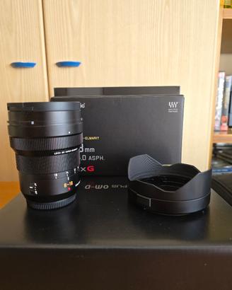Panasonic Leica DG Vario-Elmarit 8-18mm f/2.8-4.0