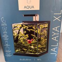 Zolux Acquario Jalaya XL Bianco Ceruso 18,7 lt