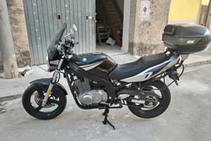 Suzuki gs 500