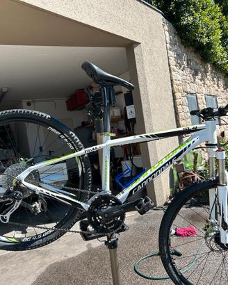Bici da mtb