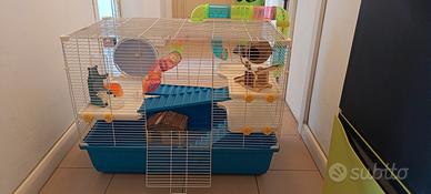 gabbia per criceti