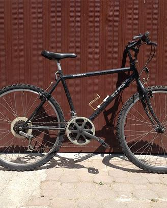 Bicicletta mountain bike