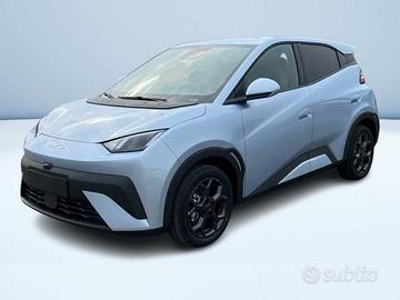BYD Dolphin Surf Comfort
