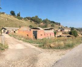 RGE 22/2018 Trib Enna