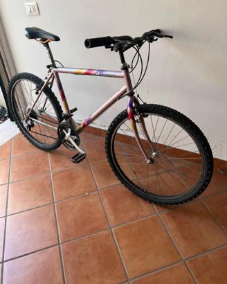 Mountain Bike uomo ruote 26"