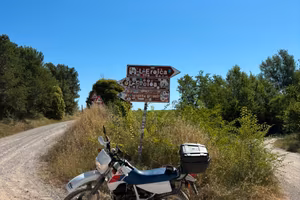 Honda XL 600 RM