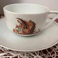 Tazza con piatto Rosenthal da collezione