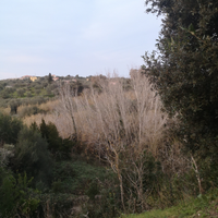 Rudere e terreno