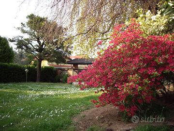 Villa singola Cerro maggiore-Agenzia diCASAinCASA