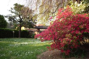 Villa singola Cerro maggiore-Agenzia diCASAinCASA