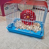 gabbietta per criceto