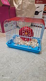 gabbietta per criceto