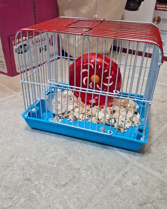 gabbietta per criceto