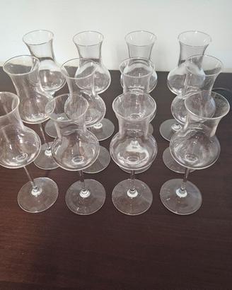 Set 12 Calici da Grappa e Distillati a Tulipano 