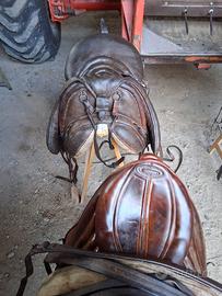selle da collezione/ da equitazione