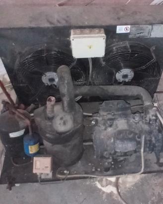 Motore per cella frigorifera 4 hp