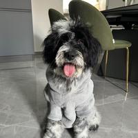 Cucciola