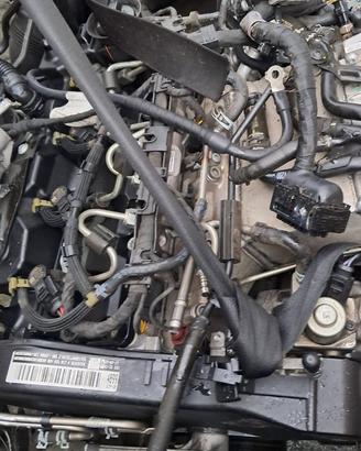 MOTORE DDY 1.6 tdi