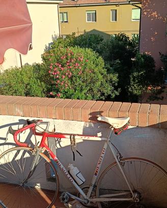 Bicicletta Benotto