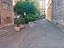 Immagine 19