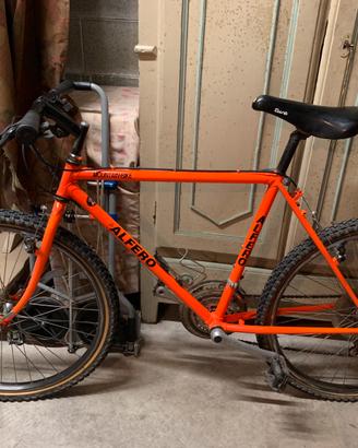 BICI MOUNTAIN BIKE DA UOMO