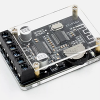 XY-P15W Scheda amplificatore Bluetooth 5.0