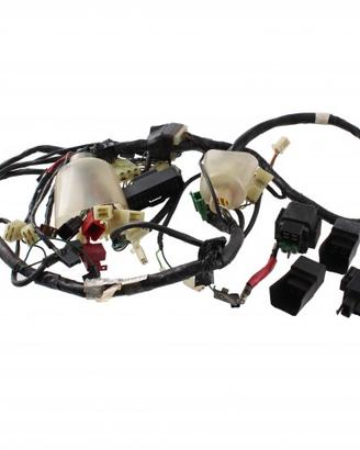 Impianto elettrico Honda Pantheon - 32100KEY900