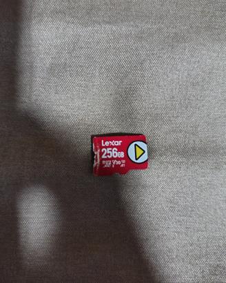 Micro SD Lexar play 256GB 
