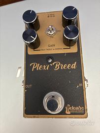 Colombo Plexi Breed