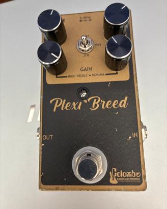 Colombo Plexi Breed