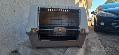 Trasportino cani per auto