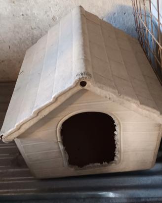 cuccia per cane 
