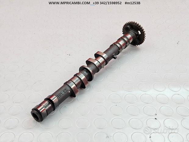 ポコ Furry in Fukuoka！！！ #furry #Gintan #银碳 #银碳Gintan #fursuit