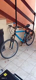 Bici Montana con cambio shimano