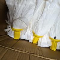 Mocio Mop 50pz