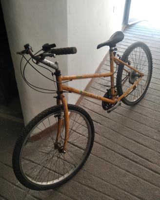 Legnano Mountain bike