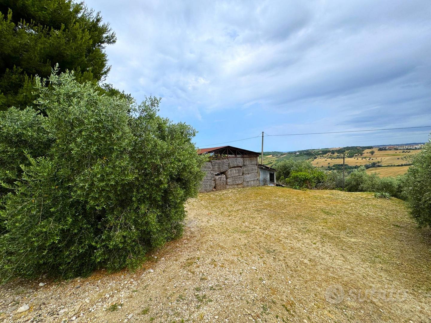Casa Colonica con Terreno - Fermo - Altro
