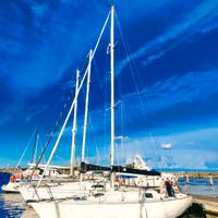 Ziggurat 916 da regata bandiera polacca