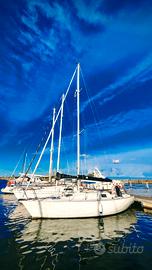 Ziggurat 916 da regata bandiera polacca