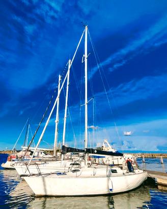 Ziggurat 916 da regata bandiera polacca