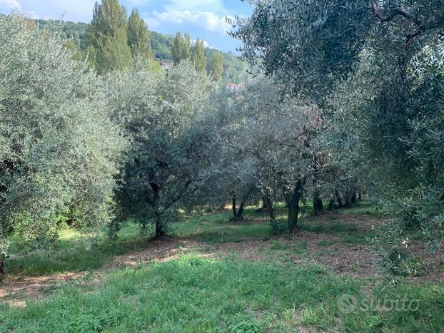 Terreno agricolo e casale