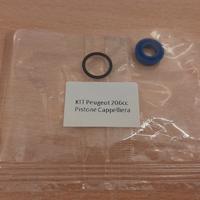 Kit Revisione Pistone Idraulico Peugeot 206 207 cc