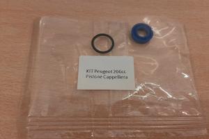 Kit Revisione Pistone Idraulico Peugeot 206 207 cc