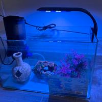 Acquario usato poco  e accessori 60€