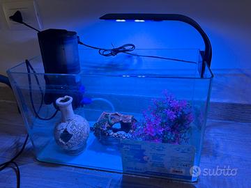 Acquario usato poco  e accessori 60€