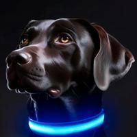 2 Collari LED Luminosi - Rosa (S) & Azzurro (M