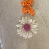 Candela Farfalle e Margherita
