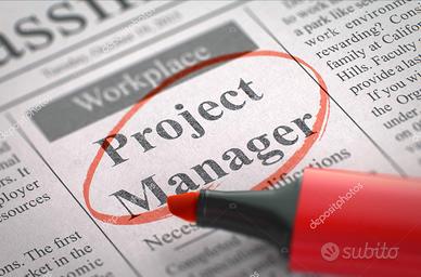 Technical Project Manager