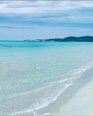 Grande trilocale per le vacanze
