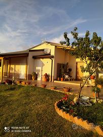 Casa Vacanza "le mimose" collina di tropea